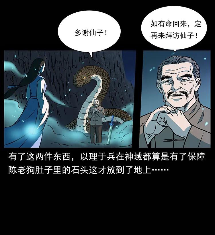 264 抚仙之战41