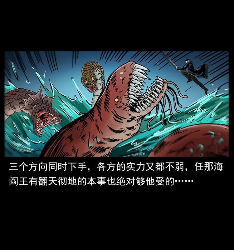 243 大战海阎王11