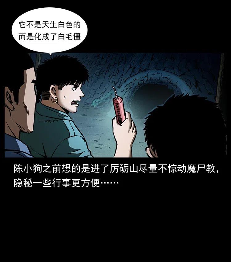 342 白毛僵尸63