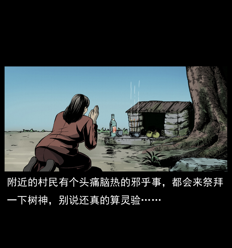 008 槐树下的小庙11