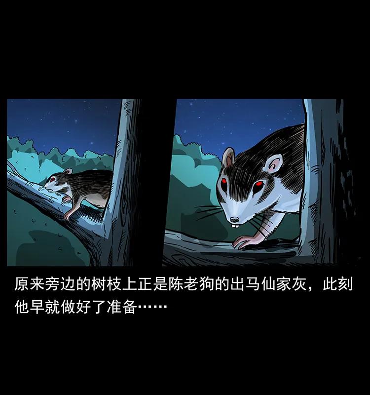 163 陈老狗下南疆5