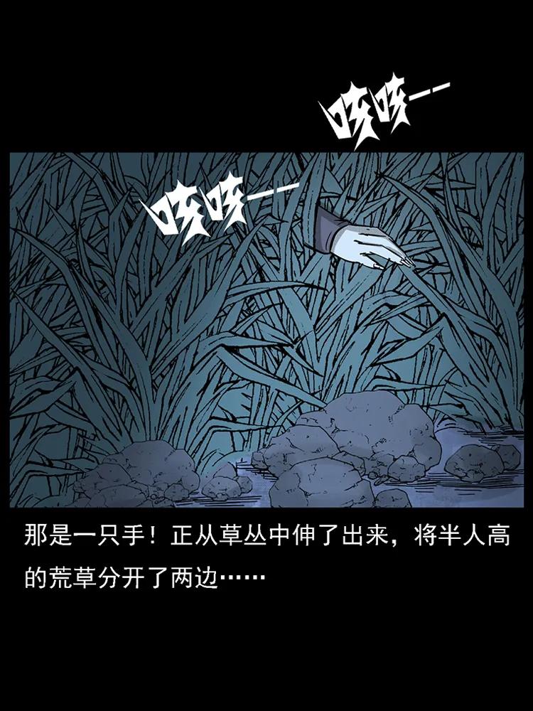 番外2 之保家白仙15