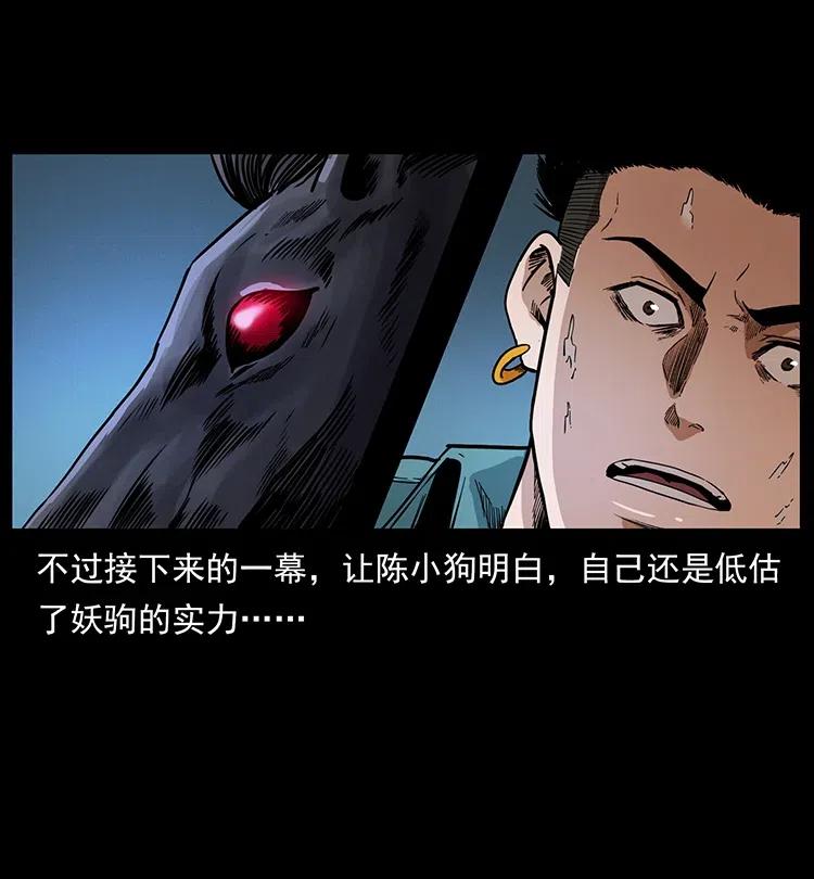 370 乌翅凤凰16