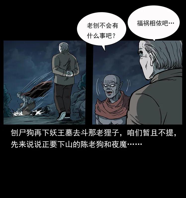 250 走失81