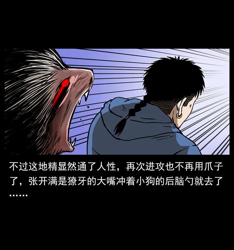 267 万山之祖——昆仑！57