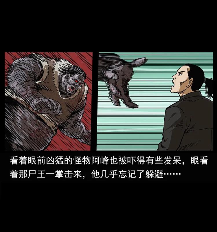 208 哪来的尸王61