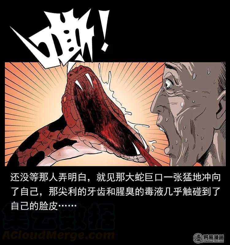 132 棺陵村诡事80