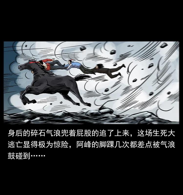 220 漠北白狼王58