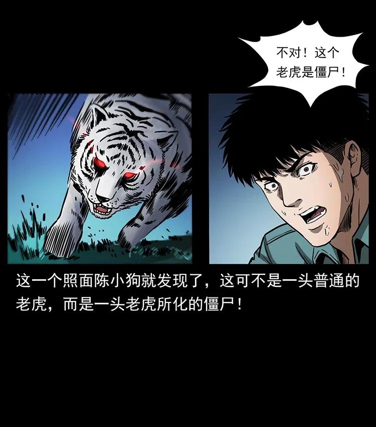 342 白毛僵尸22