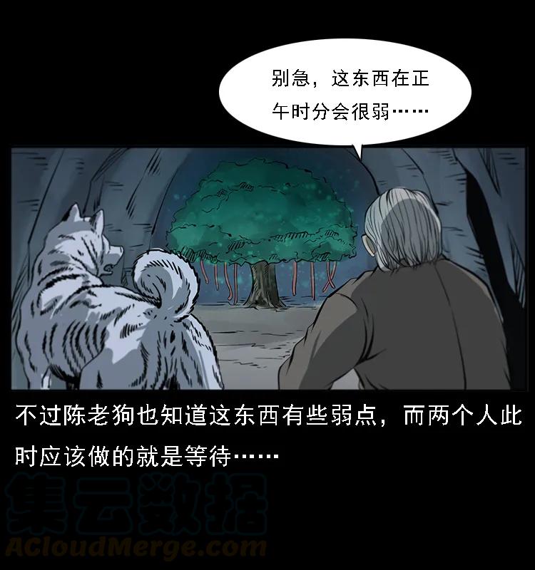082 鬼桃树32