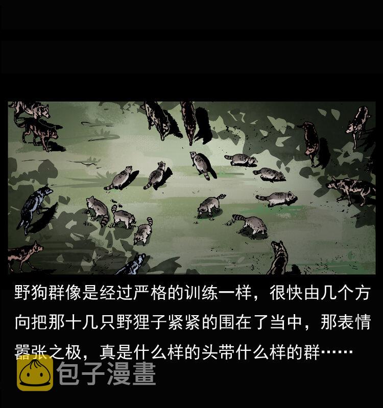 037 百雀丹（下）11