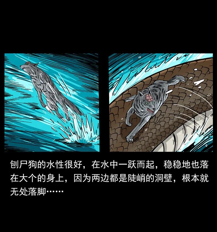 203 命丧龙洞43