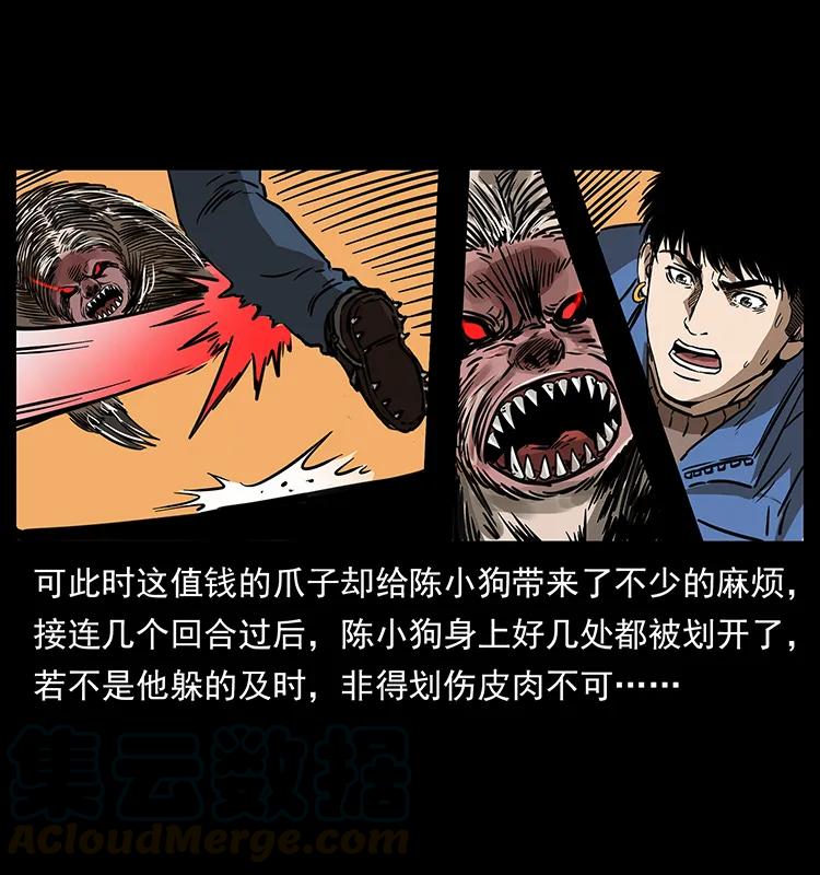 267 万山之祖——昆仑！52