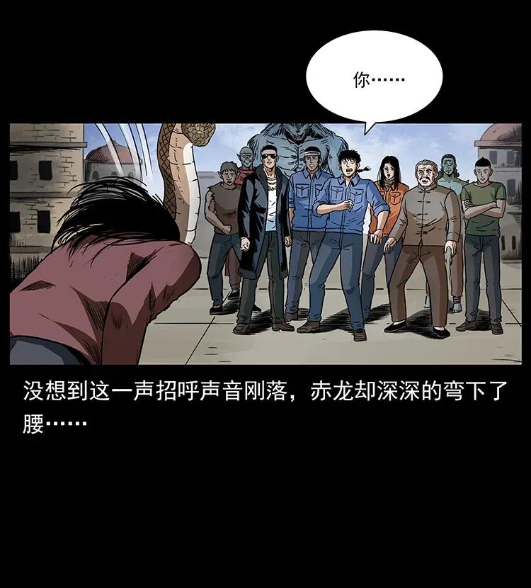 293 赤龙回归37