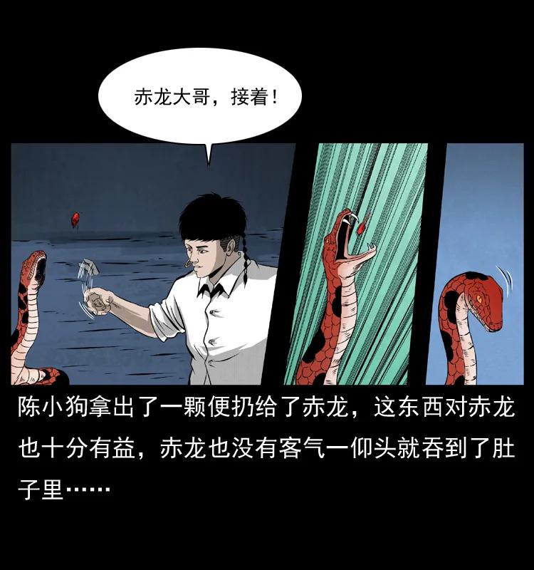 069 黄金尸首31