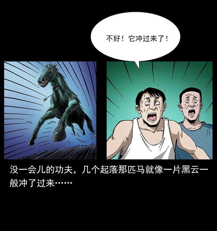 156 妖驹49