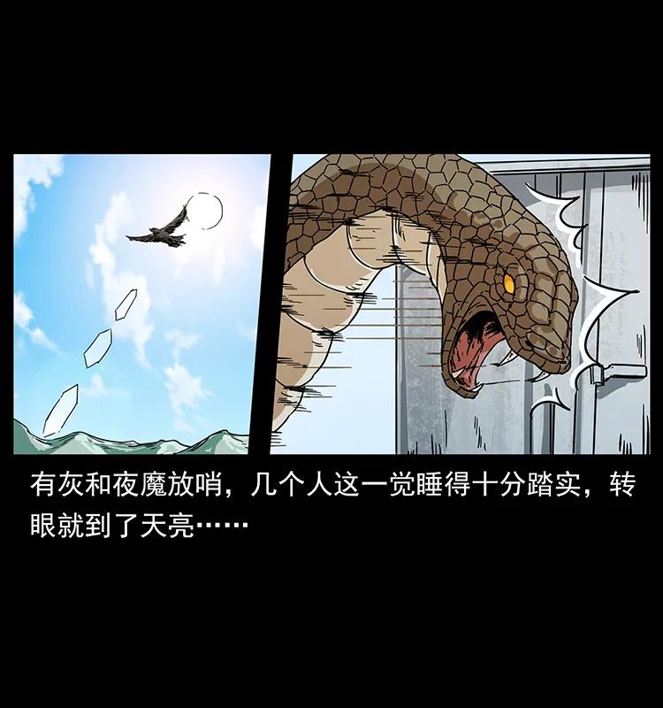 212 草原深处57