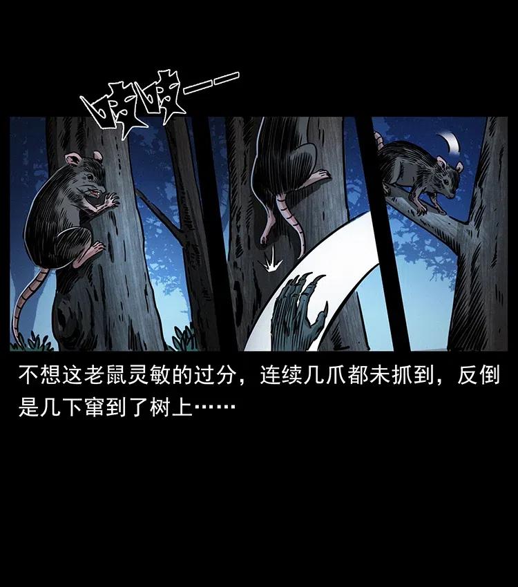 360 婴魔37