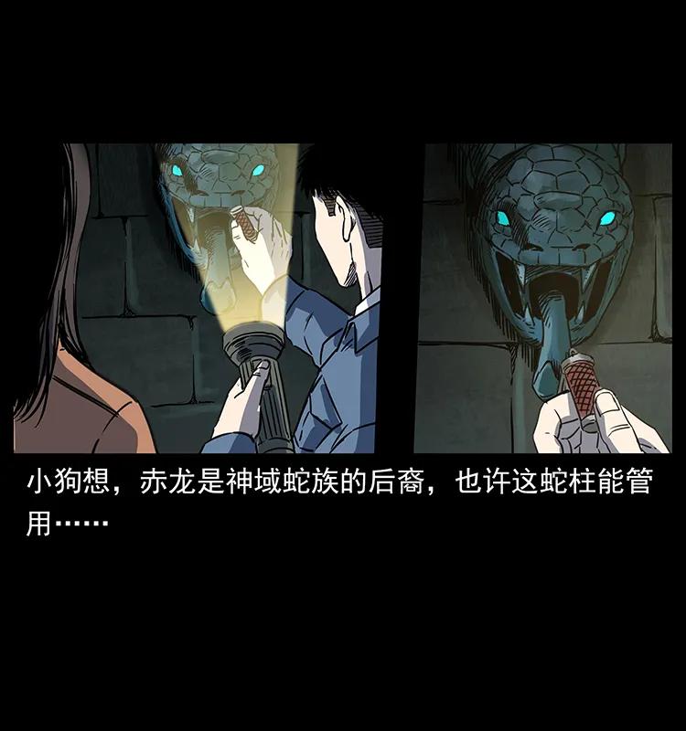 262 藏地神族26