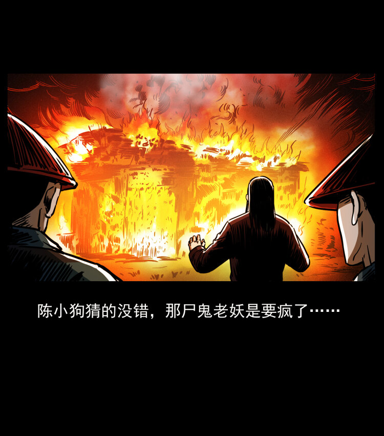 356 飞僵47