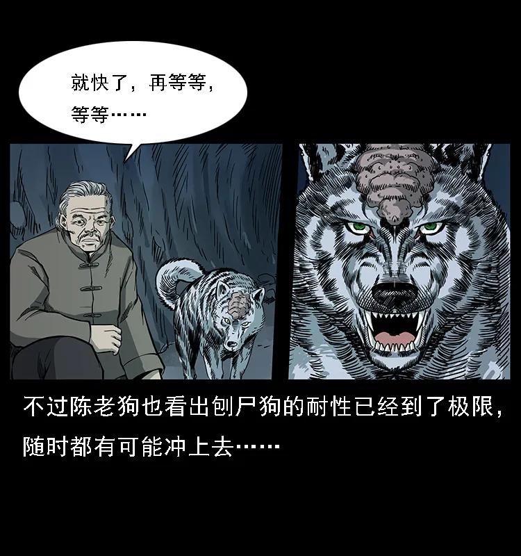082 鬼桃树58