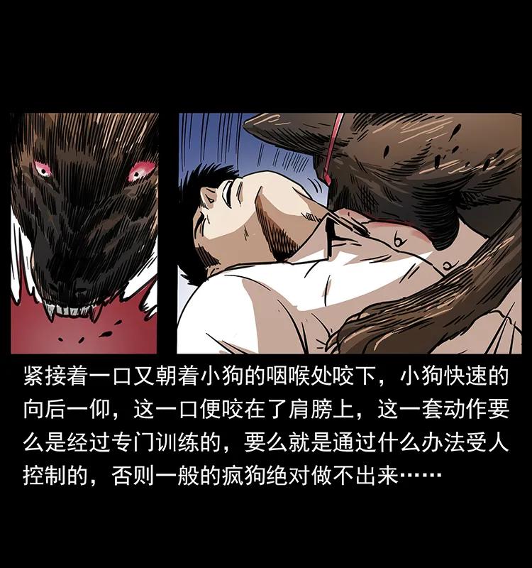 258 身后的危机43