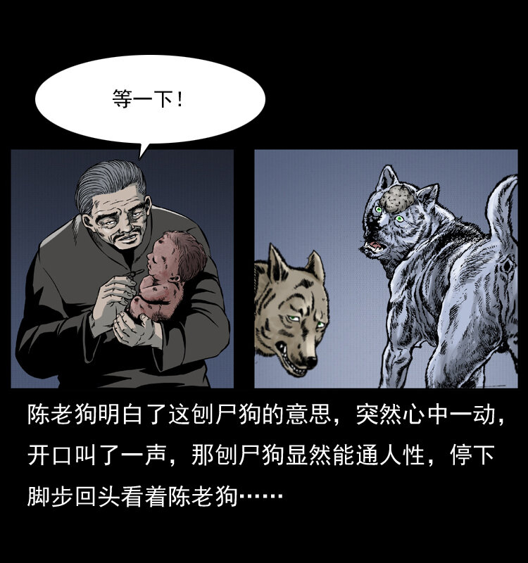 005 刨尸狗57