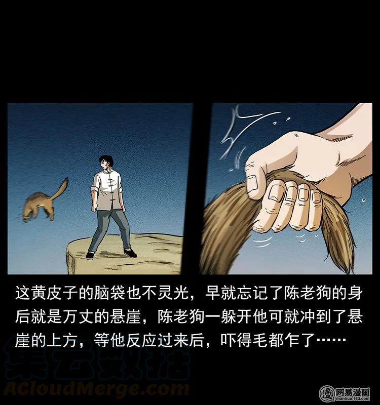 141 进山52