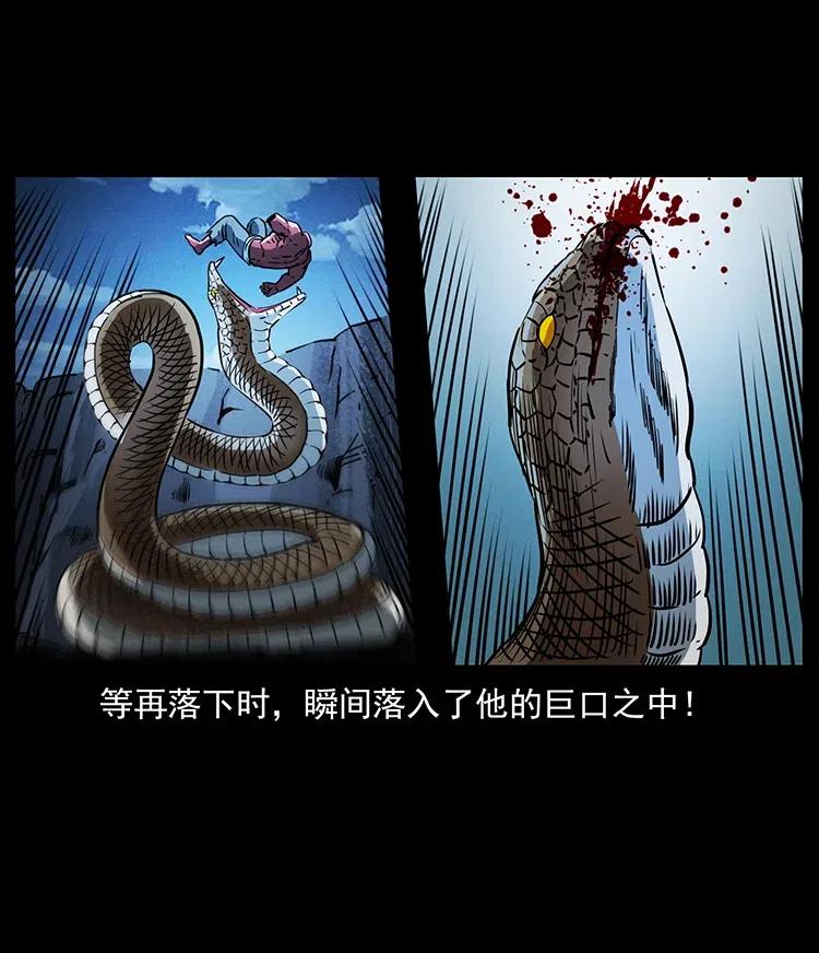 372 天击雷尸70