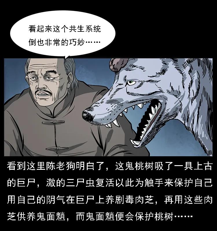 082 鬼桃树47