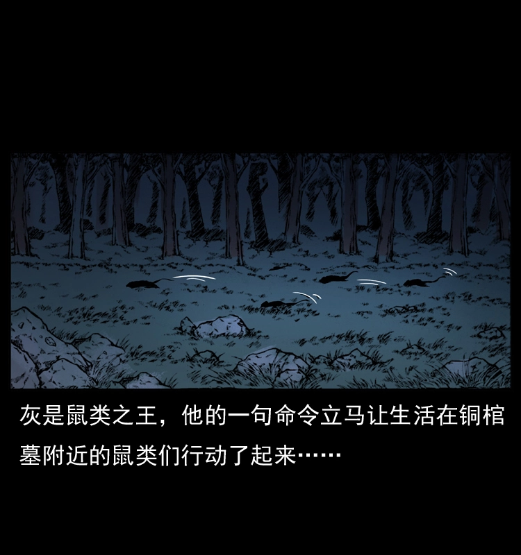 035 陈小狗出马45
