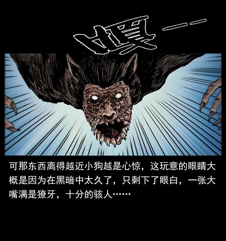 213 入皇陵9