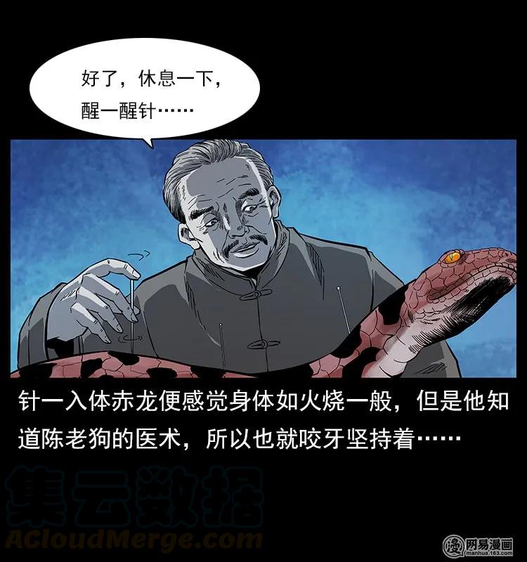 119 殃4
