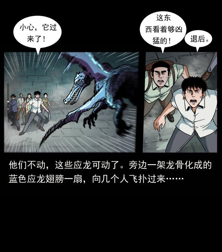 440 应天龙24