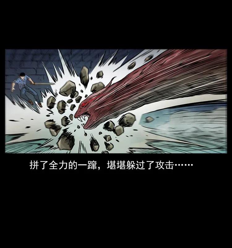 288 强者归队！47