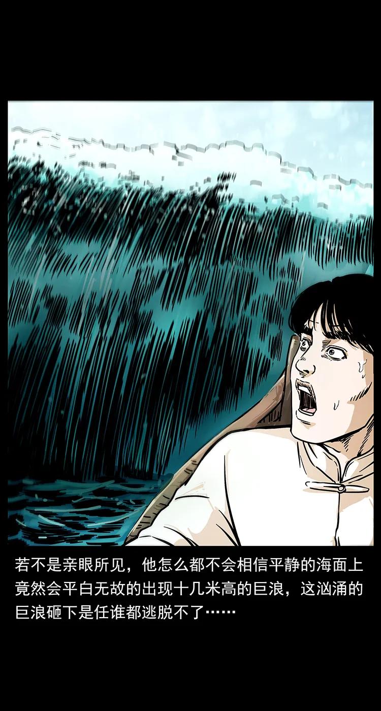 231 东海木龙81