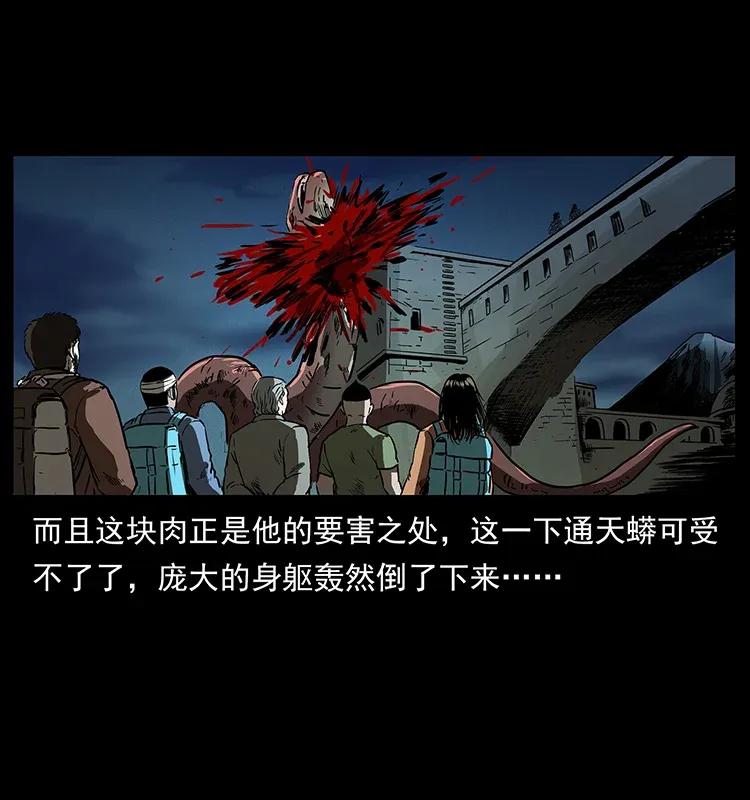 288 强者归队！73