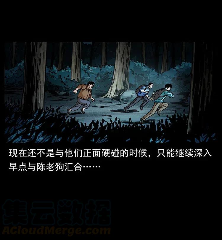 342 白毛僵尸72