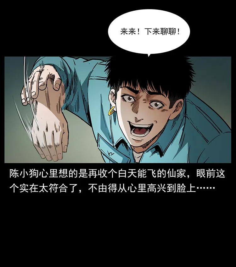 370 乌翅凤凰52