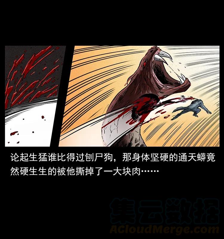 288 强者归队！72
