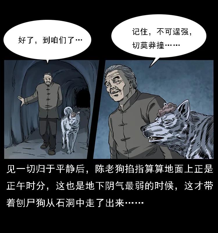 082 鬼桃树61