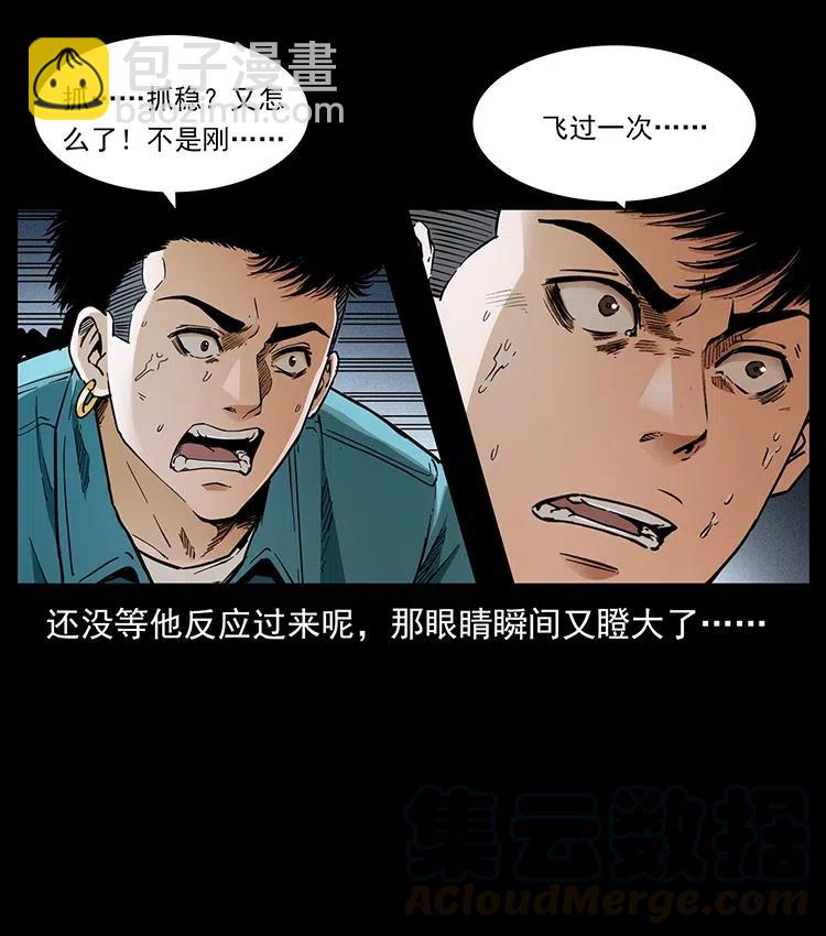 370 乌翅凤凰6