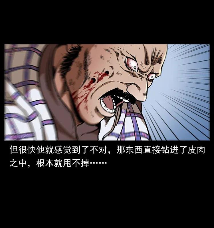 317 大漠凶兽14