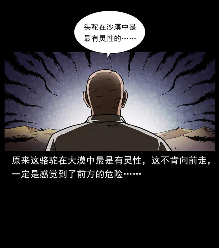321 星图49