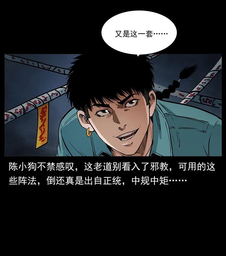 370 乌翅凤凰29