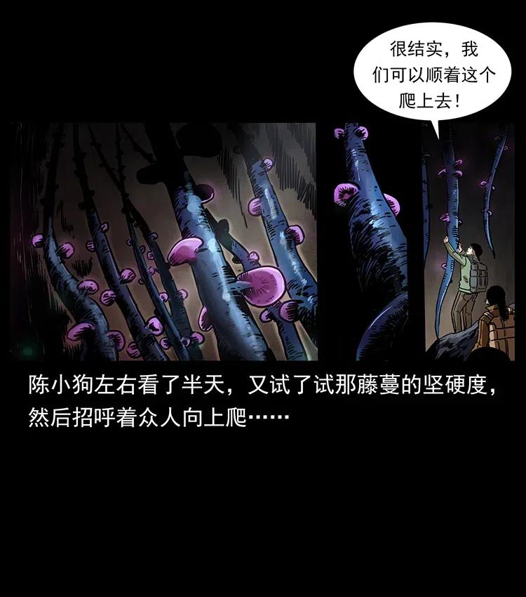 322 生死罗布泊37