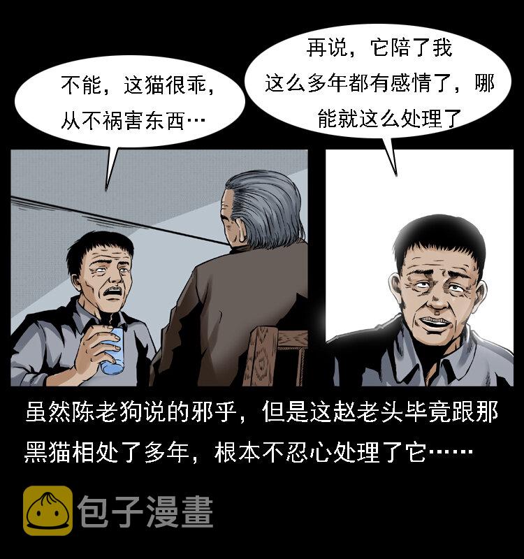 003 赵家的猫56