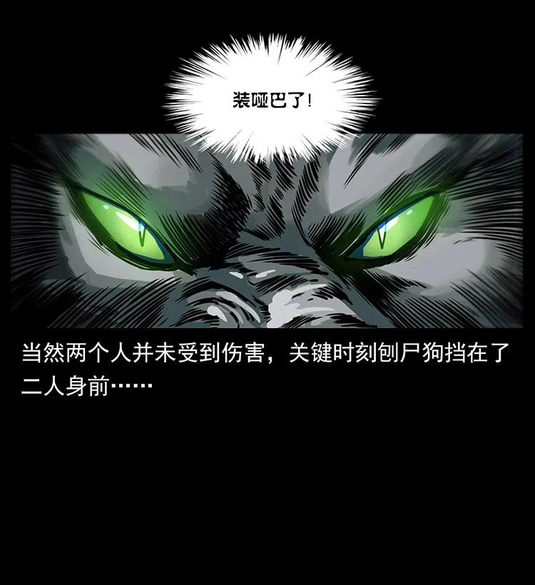 330 天化尸王75