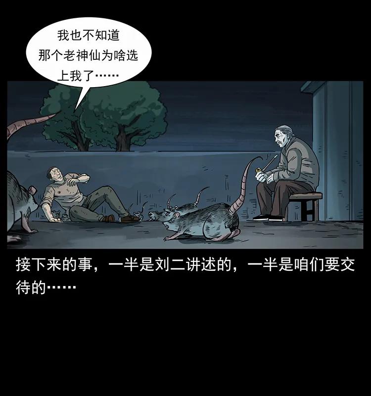 251 刨尸狗遇险26