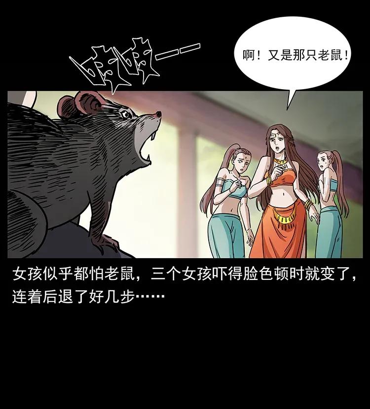 305 大买卖26